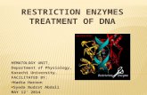 Restriction enzymes treatment of DNA