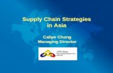 Vipo Asia   Supply Chain Strategies