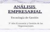 Analisis Empresarial  La  Serenisima