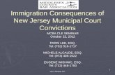What Crimes In New Jersey Can Get You Deported?