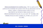 Presentacion Medida De Proteccion Opd2