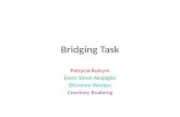 Bridging task planning : Media ceps