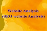 SEO website Analysis