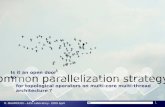 parallelization strategy