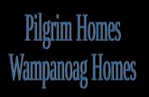 Pilgrims And Indians Homes