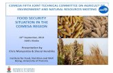 Food Security Situation in East and Southern Africa