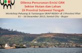 Dilema Penurunan Emisi GRK Sektor Hutan dan Lahan Di Provinsi Sulawesi Tengah