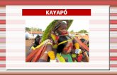 Informações povo kayapó