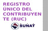 Registro Unico del Contribuyente (RUC)