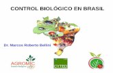 Control biológico en Brasil