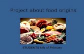 Project about food origins