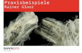 Informationsanlass: Asbest Praxisbeispiele - Suva â€“ SuvaPro