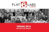 Flat6Labs Cairo Spring 2014 Investor Brief
