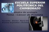 CANCER DE GLANDULA PROSTATICA CHRISTJAVIERMORILLO