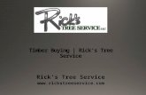 Timber Buying | Rick’s Tree Service