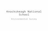 Knockskeagh national school