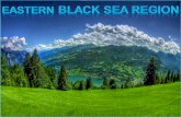 The Eastern Black Sea Region Of Turkey