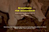 Brucellosis risk assessment