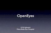 Overview of Moorfields' Open Eyes development to date and Moorfields' approach to Open Eyes, Mr Bill Aylward, Director OpenEyes