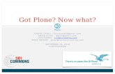 Got Plone? Now What?