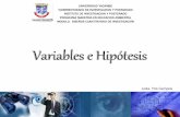 Hipotesis y variables de investigación