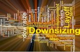 Downsizing and VRS