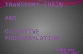 Electron transport chain and Oxidative phosphorylation