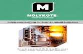 Molykote Steel