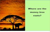 Where are the money tree roots for investors?