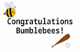 T-Ball Slide - Congratulations Bumblebees!