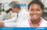Diteba Corporate Capabilities