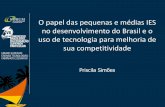 O papel das pequenas e médias IES no desenvolvimento do Brasil e o uso de tecnologia para melhoria de sua competitividade