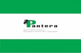Интернет-агенство "Пантера" - Портфолио