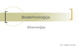 Biotehnoloģija - bioenerģija - Indulis Emsis
