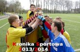 Kronika sportowa  2013