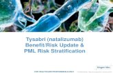 Natalizumab benefit risk update   january 2014