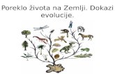 Poreklo zivota i fosili M.Jevtic i M.Eric