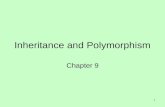 8 polymorphism