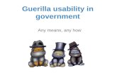 Guerilla Usability in Government