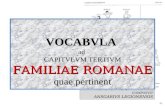 Familiae Romanae Vocabula (III)