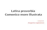 Latina proverbia Comeniano more illustrata   copia