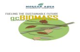 Estudio biomasa Agrícola