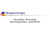 Lifespan Development Module 1 Lesson 3 Slides: Newborn and Prenatal Development