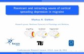 Reentrant and retracting waves of cortical spreading depression in migraine