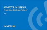 What's Missing from Your Big Data Picture?