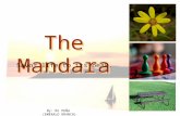 The Mandara