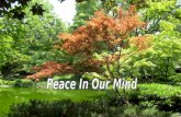Peace In Our Mind