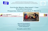 Educacion básica (curriculo bolivariano)