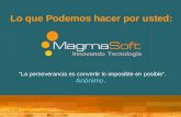 Magmasoft Software de Procesos, Trámties y Documentos LAVA