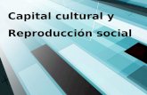 Presentación capital cultural y reproducción social